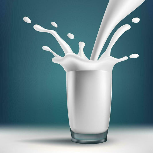 गायीचे दूध / Cow milk