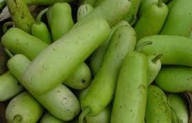 Bottle gourd (दुधी भोपळा )